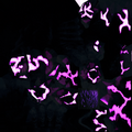 Thumbnail for version as of 21:16, 11 July 2025