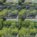 Thumbnail for version as of 13:17, 25 August 2025