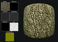 Thumbnail for version as of 17:56, 11 July 2025
