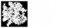 Thumbnail for version as of 19:05, 11 July 2025