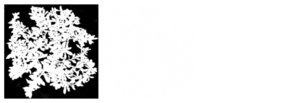 Punchthrough transparency example.png
