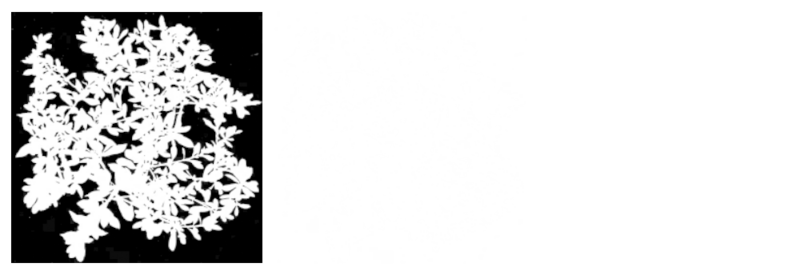 File:Punchthrough transparency example.png